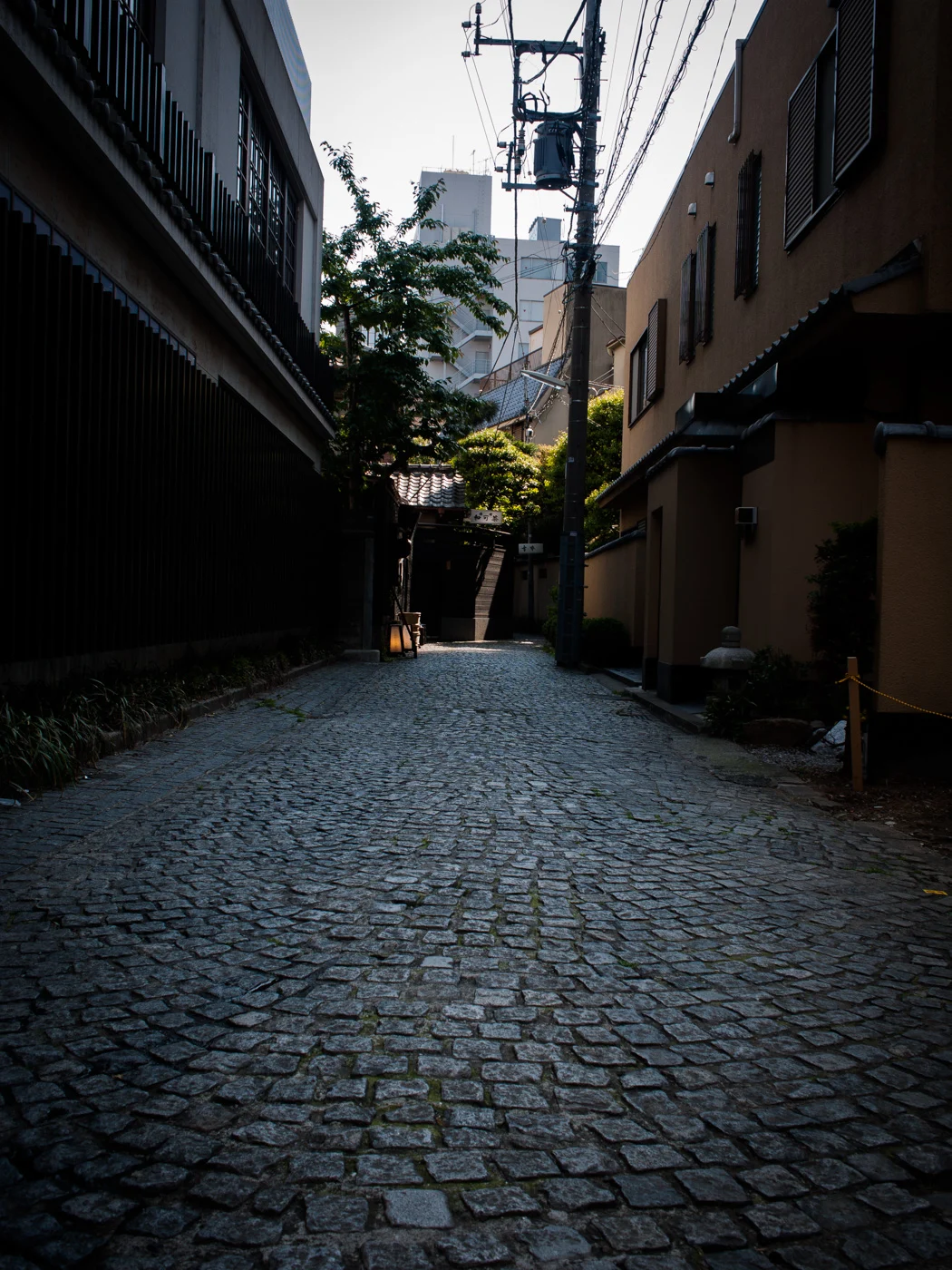 4月に引っ越してはいけない〜人の裏をかいて動くと得する