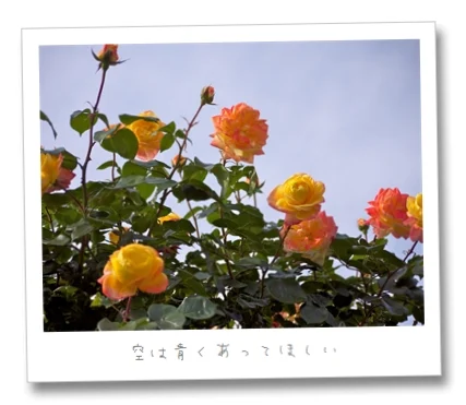 Aperture3で空も被写体も明るくする