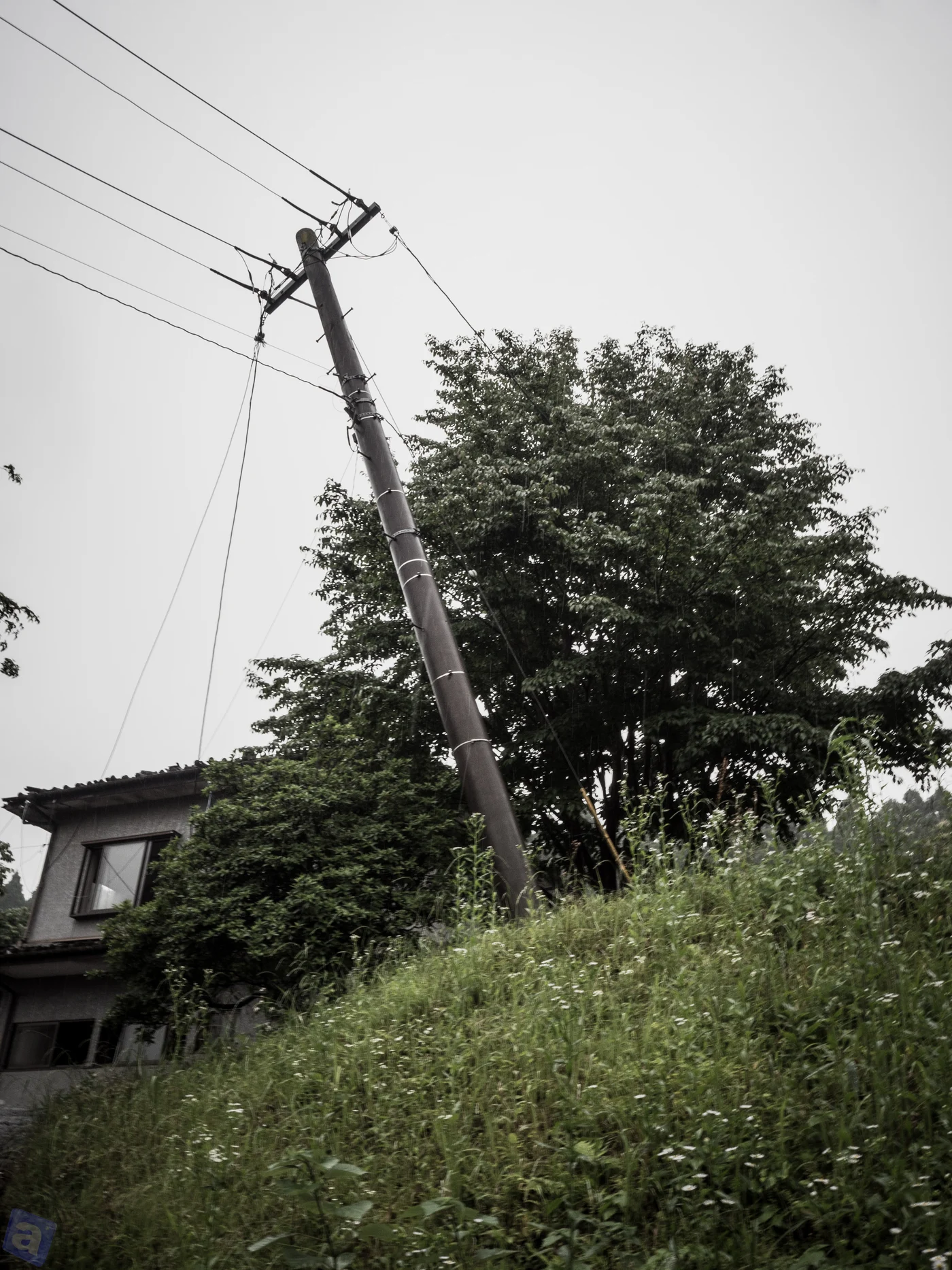 倒れそうな電柱