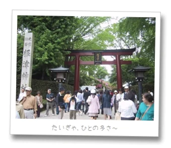 ぶらり根津〜上野