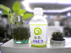 研修
