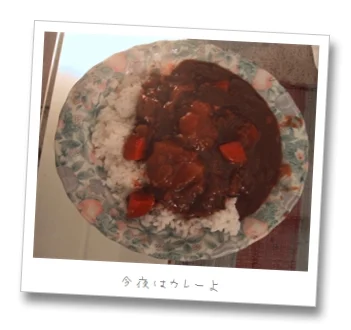カレーと醤油
