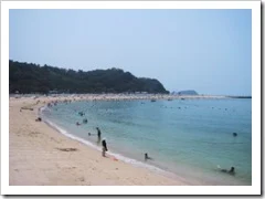 今年も御立岬に