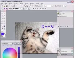 .NETのソース付きペイントソフト 「Paint.NET」
