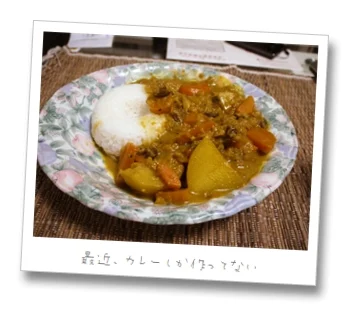 カレーをなんとかしたい